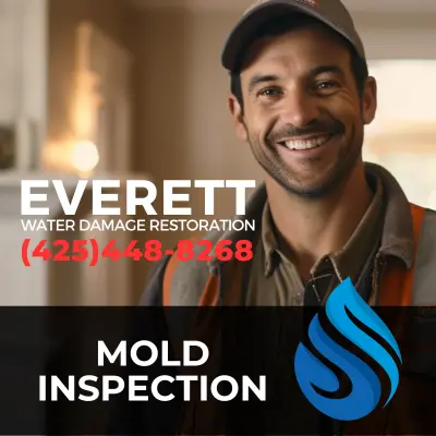 Mold Inspections - Everett Water Damage Restoration